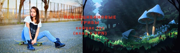 тгк Бородино