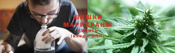 тгк Бородино