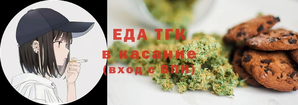 тгк Бородино