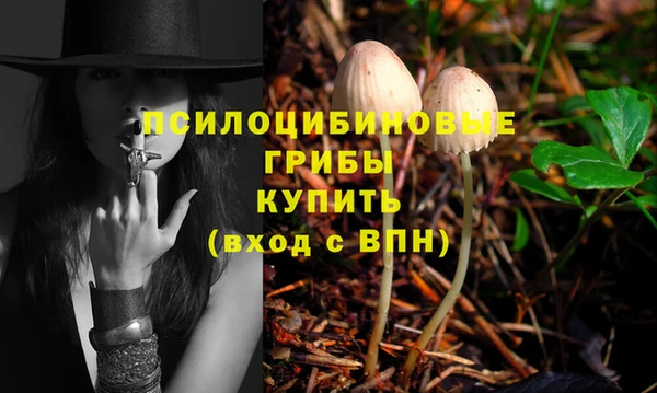 тгк Бронницы