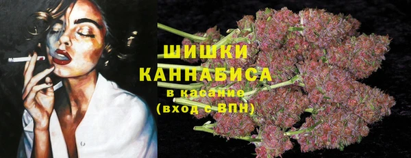 тгк Бородино
