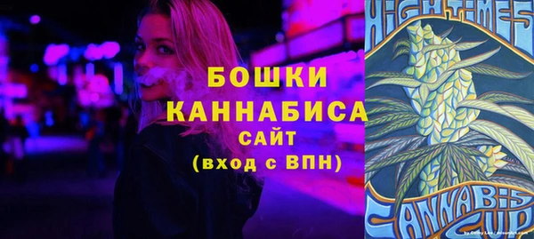 тгк Бронницы