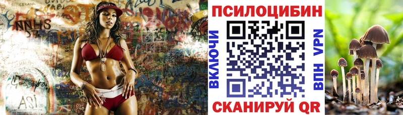 Галлюциногенные грибы Cubensis  Давлеканово 